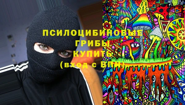 винт Алексин