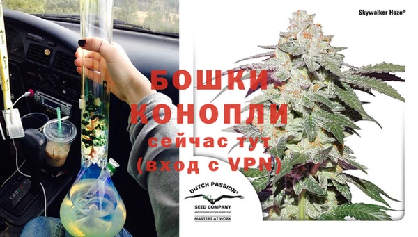 эйфоретик Мегион