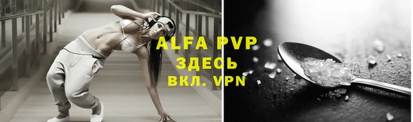винт Алексин