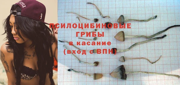 гашик Алзамай