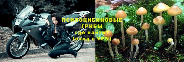 винт Алексин