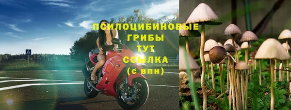 гашик Алзамай
