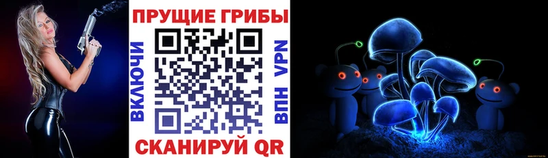 Псилоцибиновые грибы ЛСД  блэк спрут tor  Могоча 